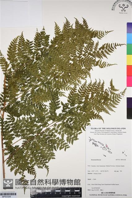 登錄號:BP03328藏品圖，第1張