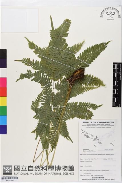 登錄號:BP02888藏品圖，第1張