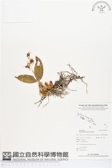 登錄號:BS01888藏品圖，第1張