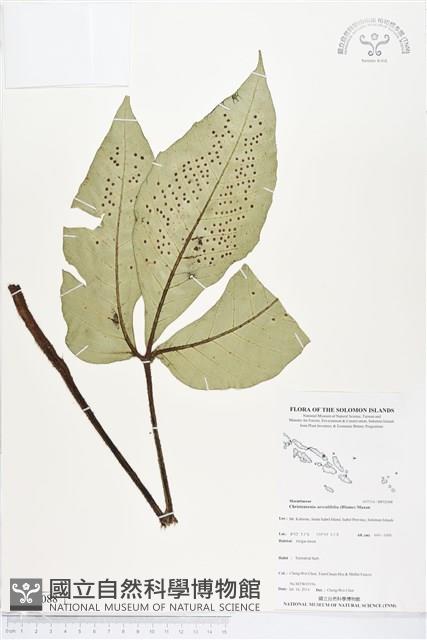 登錄號:BP02088藏品圖，第1張