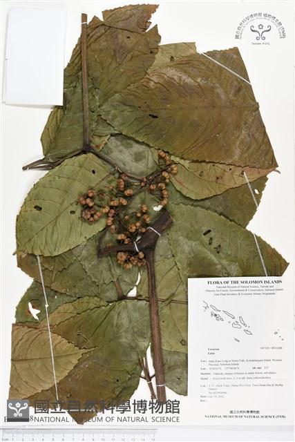 登錄號:BS02088藏品圖，第1張