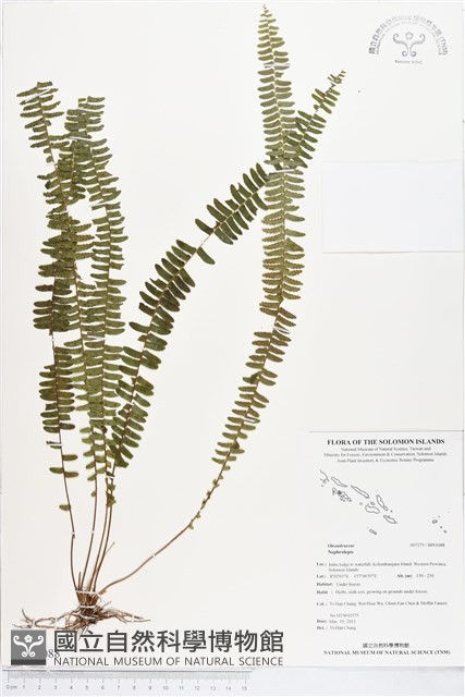 登錄號:BP01088藏品圖，第1張