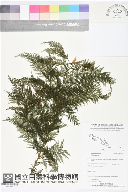 登錄號:BP02688藏品圖，第1張