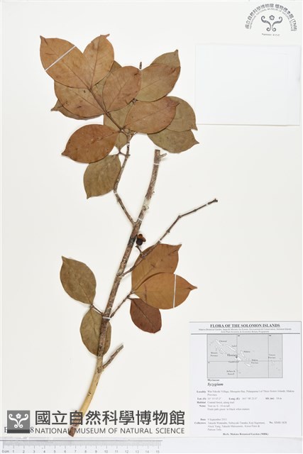 登錄號:BS01688藏品圖，第1張