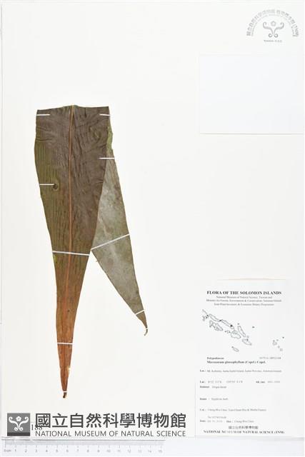 登錄號:BP02188藏品圖，第1張