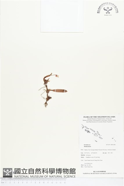 登錄號:BS02188藏品圖，第1張
