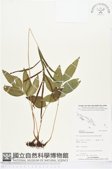 登錄號:BP01188藏品圖，第1張