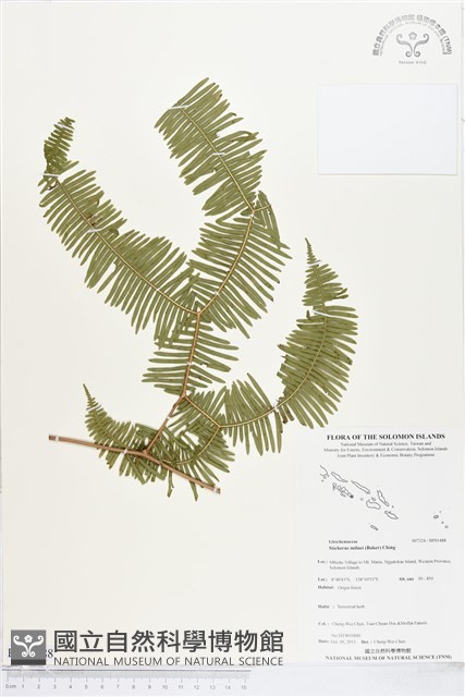 登錄號:BP01488藏品圖，第1張