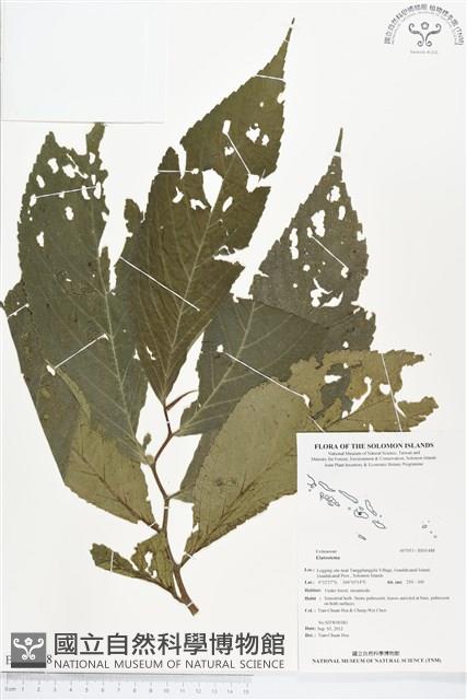 登錄號:BS01488藏品圖，第1張