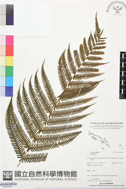 登錄號:BP03488藏品圖，第1張