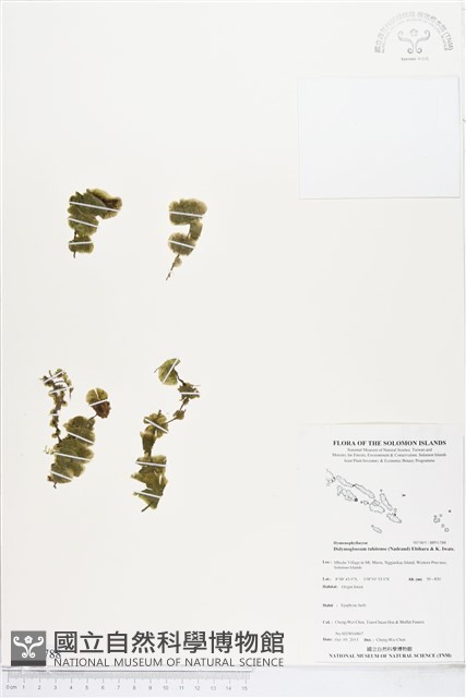 登錄號:BP01788藏品圖，第1張