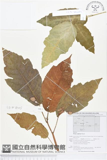 登錄號:BS01588藏品圖，第1張