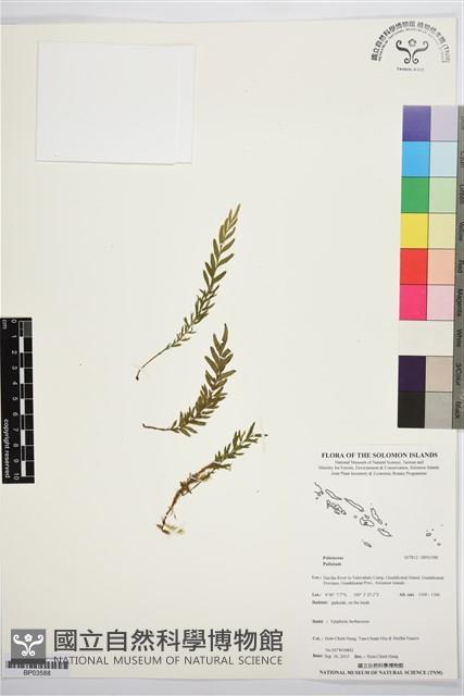 登錄號:BP03588藏品圖，第1張