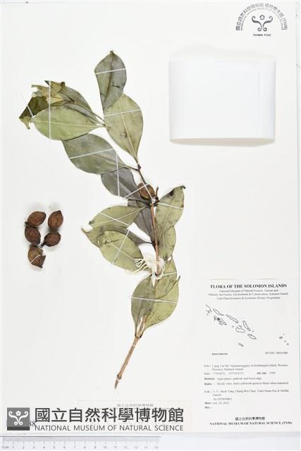 登錄號:BS01988藏品圖，第1張