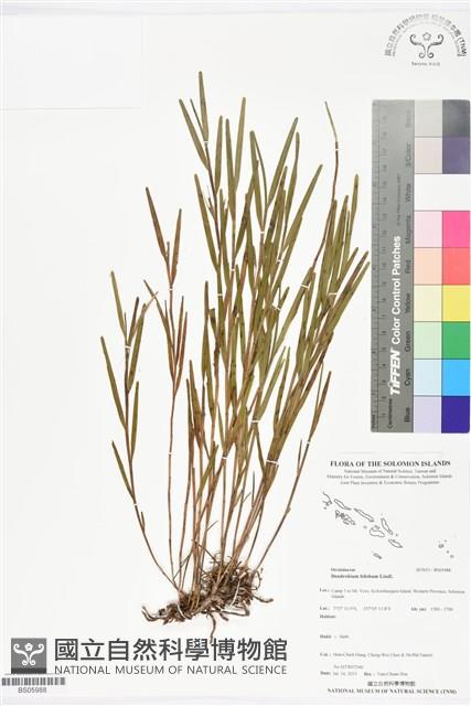 登錄號:BS05988藏品圖，第1張