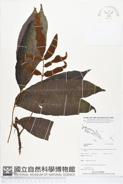 登錄號:BP02388藏品圖，第1張