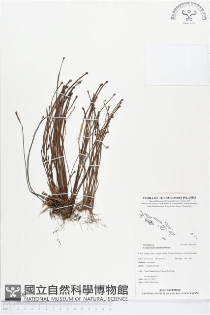 登錄號:BS01898藏品圖，第1張