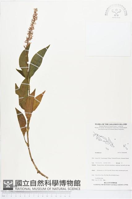 登錄號:BS04898藏品圖，第1張