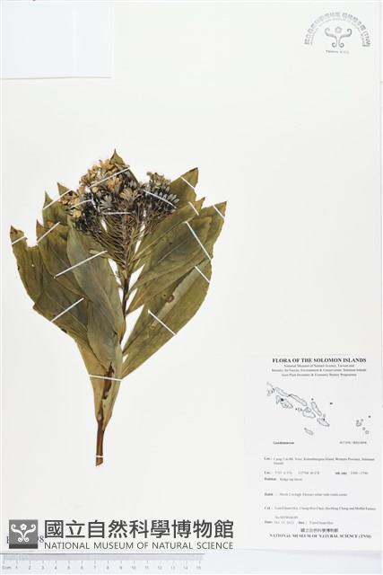 登錄號:BS03898藏品圖，第1張