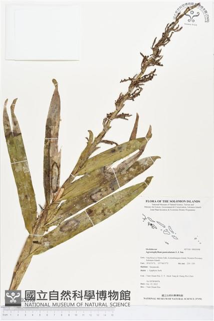 登錄號:BS02098藏品圖，第1張