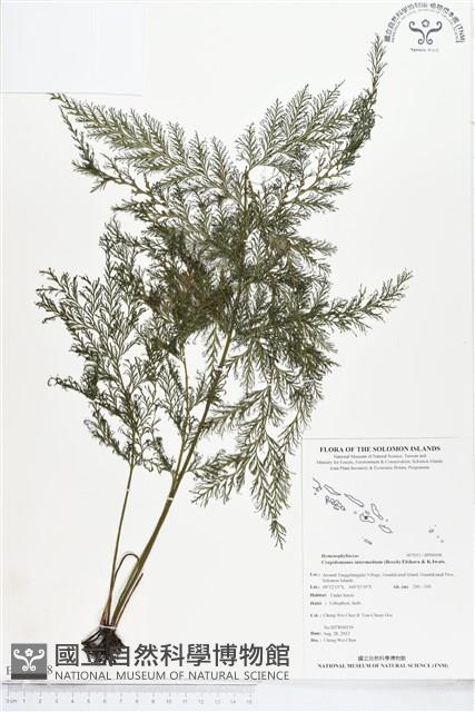 登錄號:BP00098藏品圖，第1張