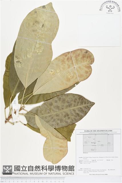 登錄號:BS01698藏品圖，第1張