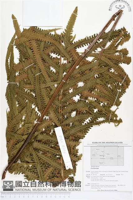 登錄號:BP00198藏品圖，第1張