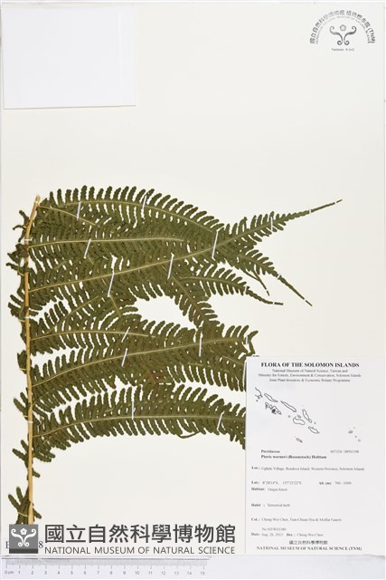 登錄號:BP01198藏品圖，第1張