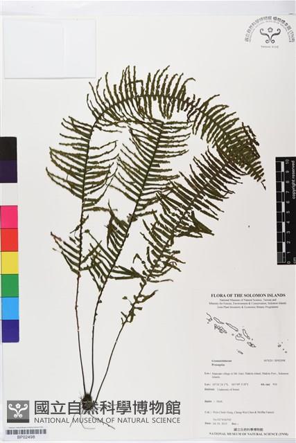 登錄號:BP02498藏品圖，第1張