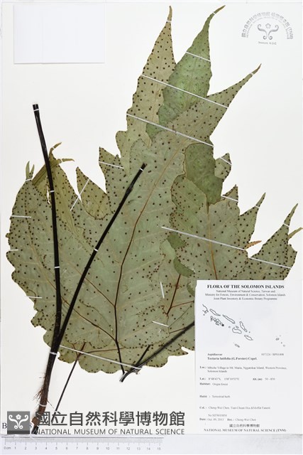 登錄號:BP01498藏品圖，第1張