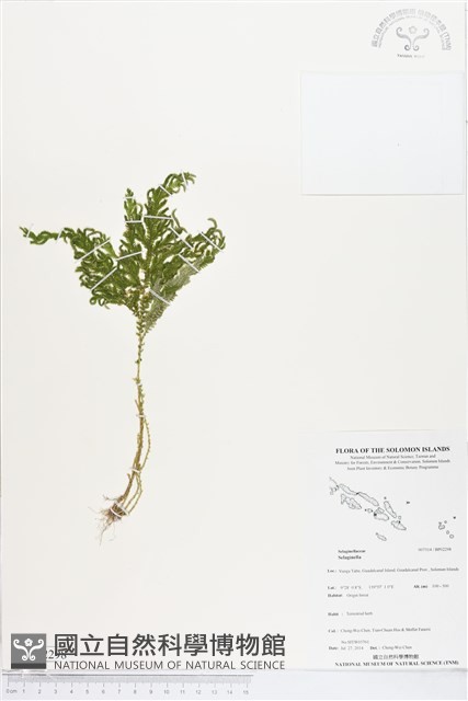 登錄號:BP02298藏品圖，第1張