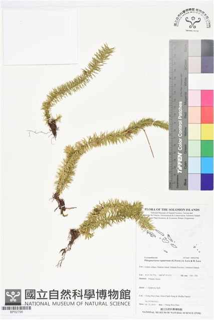 登錄號:BP02798藏品圖，第1張