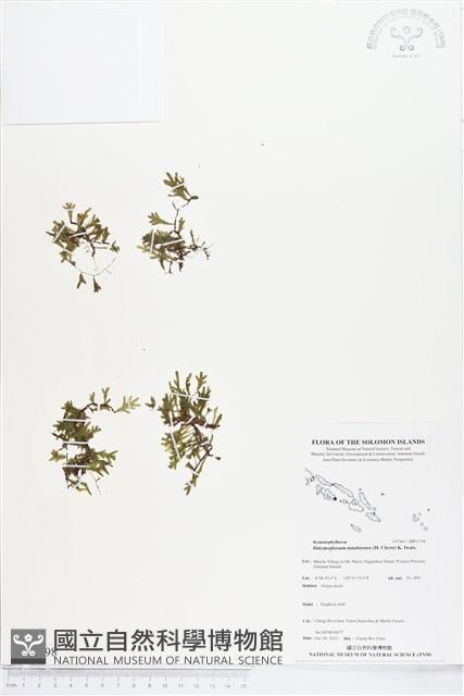 登錄號:BP01798藏品圖，第1張