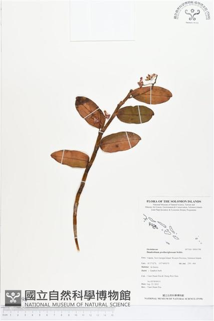 登錄號:BS01798藏品圖，第1張