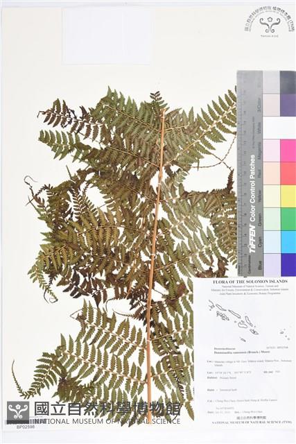 登錄號:BP02598藏品圖，第1張