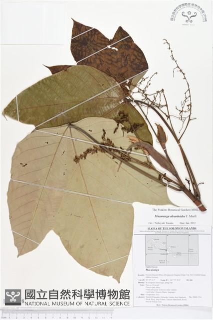 登錄號:BS01598藏品圖，第1張