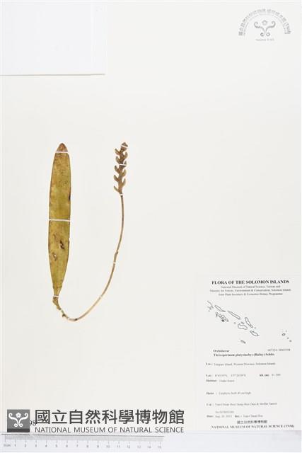 登錄號:BS03598藏品圖，第1張