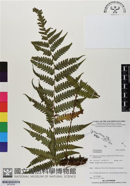 登錄號:BP02998藏品圖，第1張