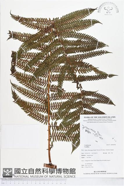 登錄號:BP00998藏品圖，第1張