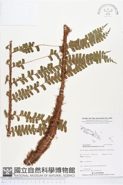 登錄號:BP01998藏品圖，第1張