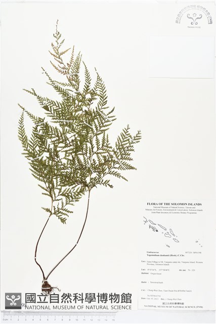 登錄號:BP01398藏品圖，第1張