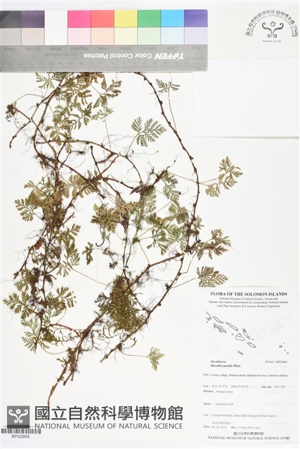 登錄號:BP02868藏品圖，第1張