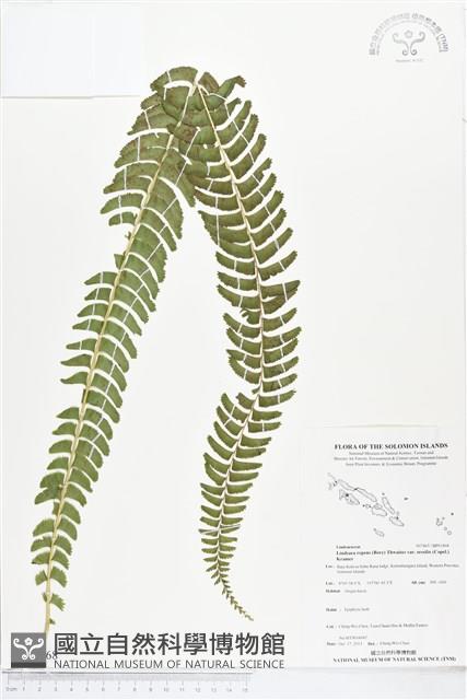 登錄號:BP01868藏品圖，第1張