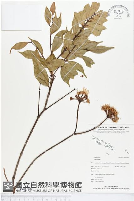 登錄號:BS01868藏品圖，第1張