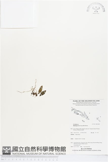 登錄號:BS03868藏品圖，第1張
