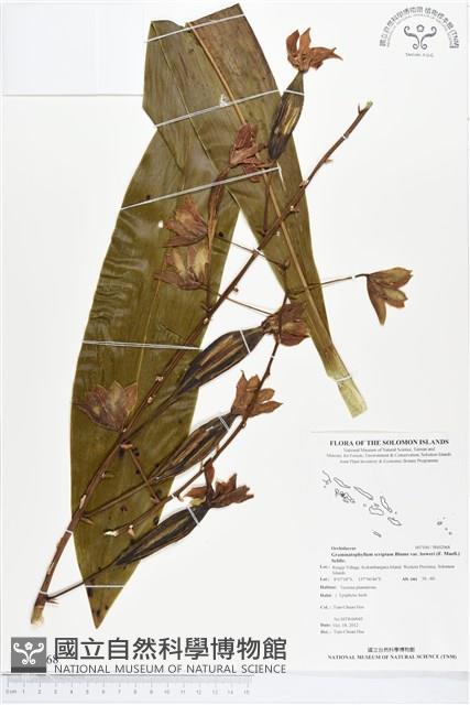 登錄號:BS02068藏品圖，第1張