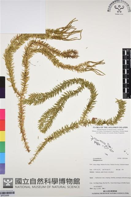 登錄號:BP03068藏品圖，第1張