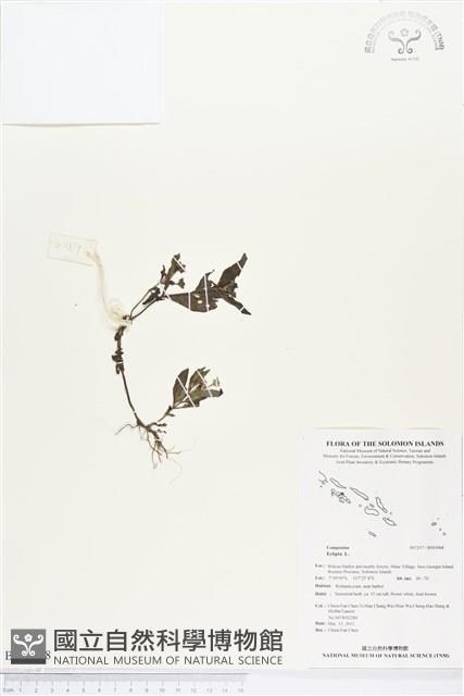 登錄號:BS03068藏品圖，第1張