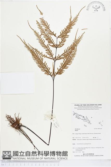 登錄號:BP01668藏品圖，第1張