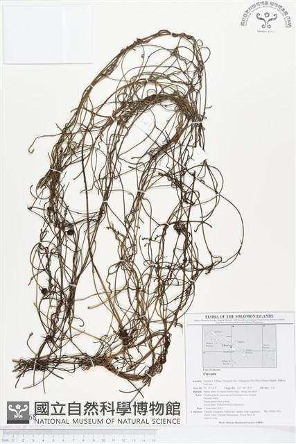 登錄號:BS01668藏品圖，第1張